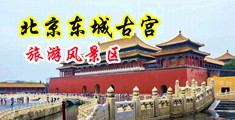 WWW免费插插插中国北京-东城古宫旅游风景区